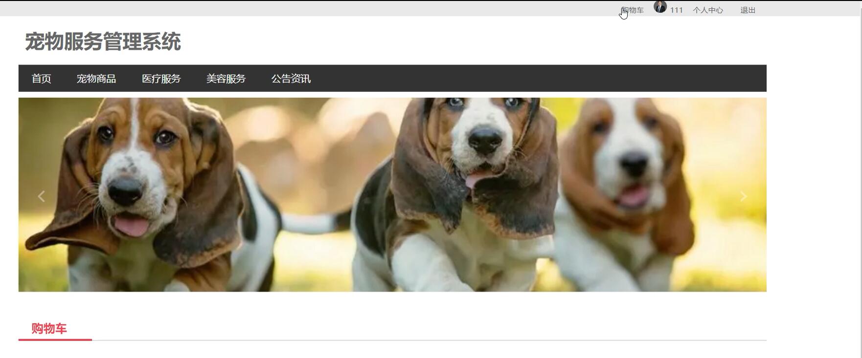 django宠物服务管理系统【java或python】—计算机毕业设计源码+LW文档