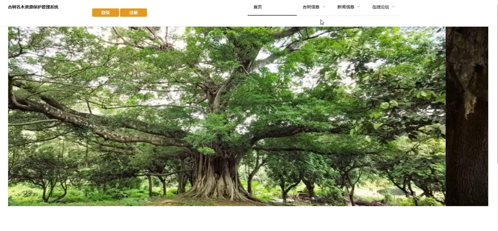 基于Vue的古树名木资源保护管理系统[Vue]-计算机毕业设计源码+LW文档