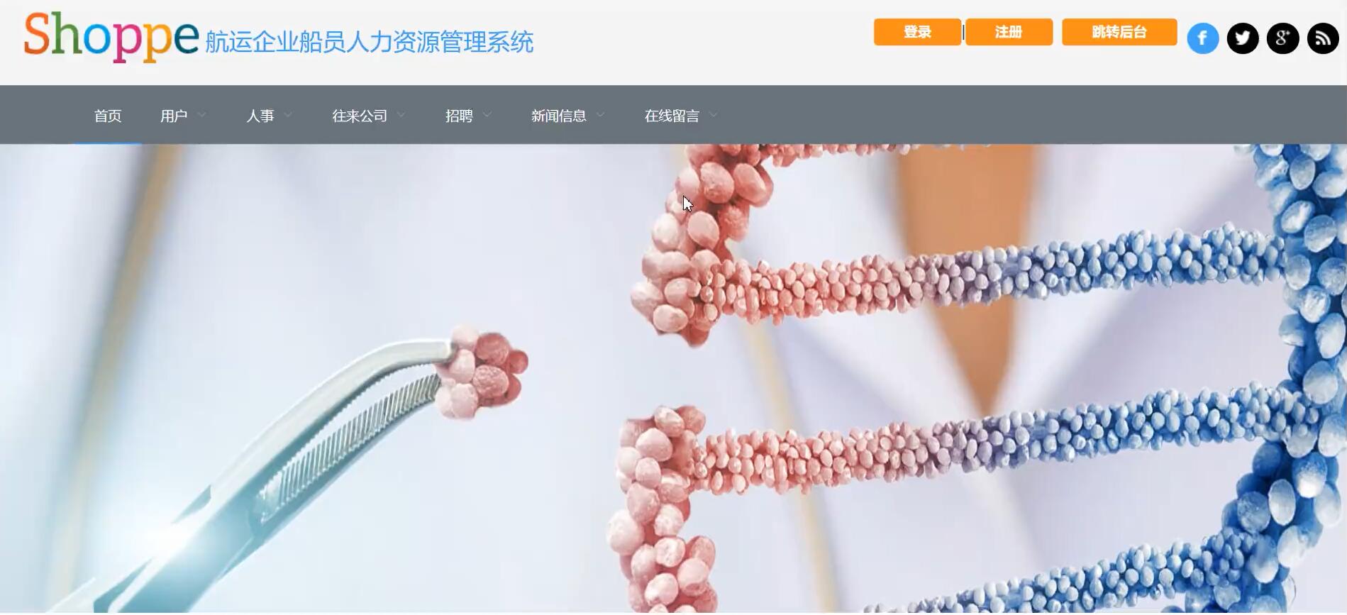 基于Vue的航运企业船员人力资源管理系统[Vue]-计算机毕业设计源码+LW文档