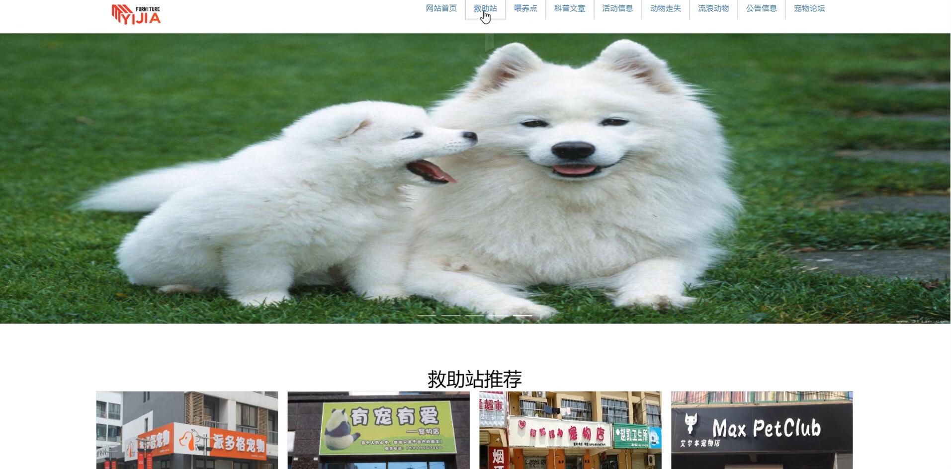 基于vue的流浪动物公益领养系统[Vue]-计算机毕业设计源码+LW文档