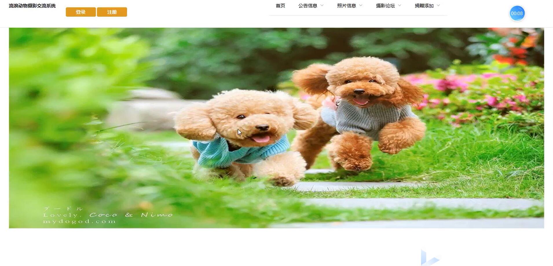 基于vue的流浪动物摄影交流系统[Vue]-计算机毕业设计源码+LW文档