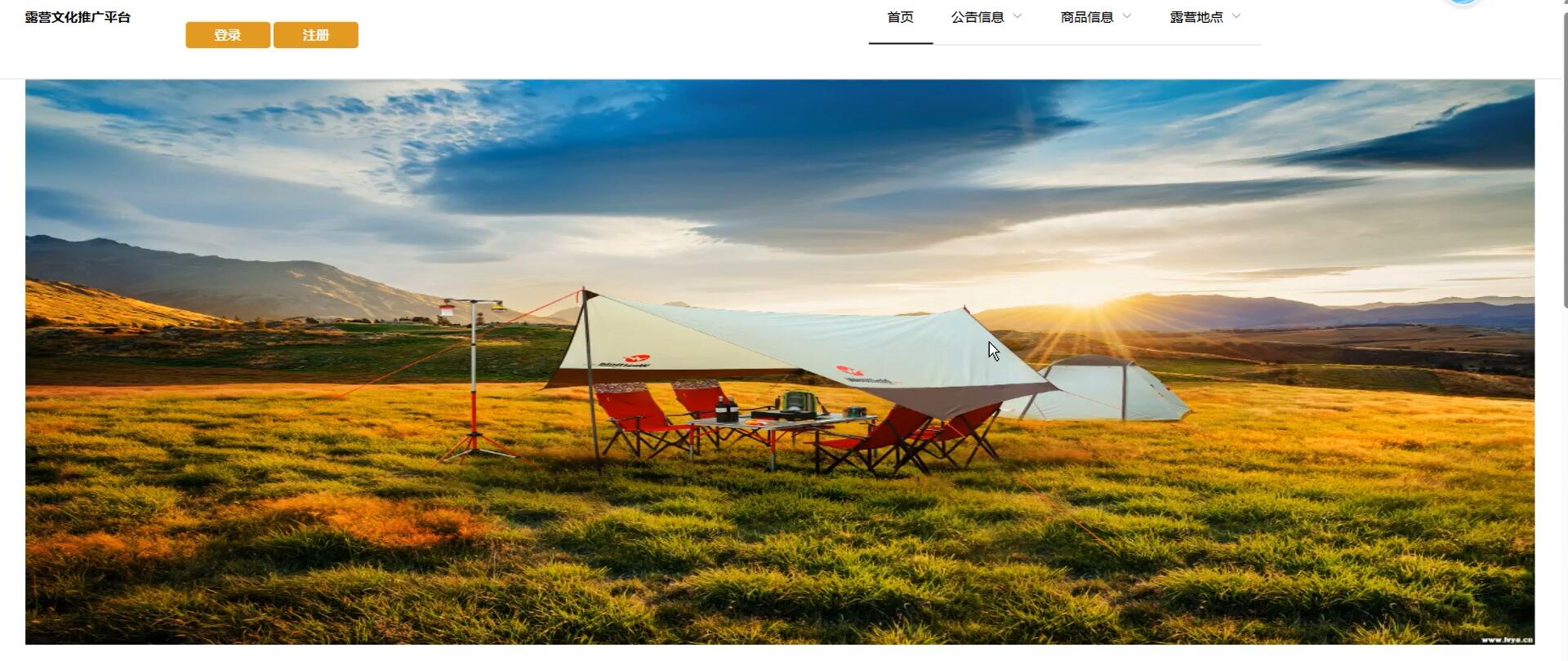 基于vue的露营文化推广平台[Vue]-计算机毕业设计源码+LW文档
